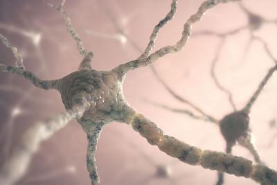 Growing new brain cells to slow aging and improve mental health